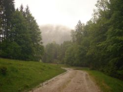 2013-06-01_Regina-F-Rau_Staffelalm_Hochwasser (023).JPG